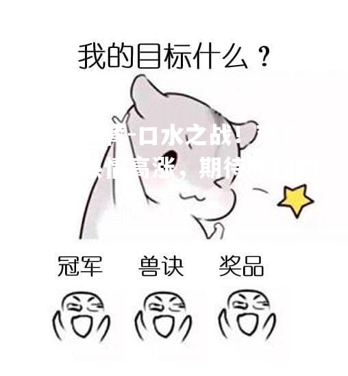 口水之战！双方球迷热情高涨，期待胜利的到来