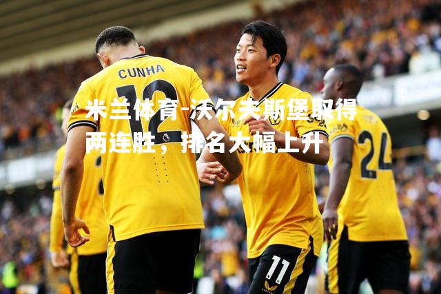 沃尔夫斯堡取得两连胜，排名大幅上升